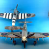 Hasegawa 1/48 scale Hawker Typhoons by Pasquale Passafaro: Image