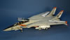 Tamiya 1/48 F-14A Tomcat by David W. Aungst: Image