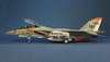 Tamiya 1/48 F-14A Tomcat by David W. Aungst: Image