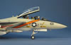 Tamiya 1/48 F-14A Tomcat by David W. Aungst: Image