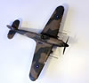 Hasegawa 1/48 Hurricane Mk.IId by Fernando Rolandelli: Image