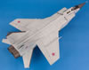 AMK 1/48 MiG-31BS Foxhound by Jon Bryon: Image