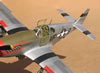 Tamiya 1/48 P-51B Mustang by Tolga Ulgur: Image