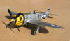 Hasegawa 1/32 P-47D-30 by Tolga Ulgur: Image