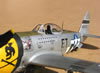 Hasegawa 1/32 P-47D-30 by Tolga Ulgur: Image