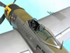 Hasegawa 1/32 P-47D-30 by Tolga Ulgur: Image