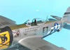 Hasegawa 1/32 P-47D-30 by Tolga Ulgur: Image