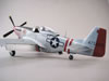 Tamiya 1/48 P-51D Mustang by Floyd S. Werner: Image