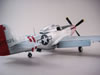 Tamiya 1/48 P-51D Mustang by Floyd S. Werner: Image