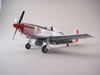 Tamiya 1/48 P-51D Mustang by Floyd S. Werner: Image