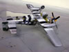 Revell 1/32 P-51D Mustang by Dieter Wiegmann: Image