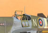 Hobbycraft 1/32 Mustang Mk.Ia by Tolga Ulgur: Image