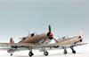 Special Hobby 1/48 Blackburn Roc by Roland Sachsenhofer: Image