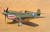 Hasegawa 1/32 P-40E Warhawk by Tolga Ulgur: Image