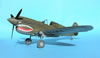 Hasegawa 1/32 P-40E Warhawk by Tolga Ulgur: Image