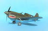 Hasegawa 1/32 P-40E Warhawk by Tolga Ulgur: Image