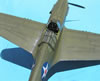 Hasegawa 1/32 P-40E Warhawk by Tolga Ulgur: Image