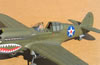 Hasegawa 1/32 P-40E Warhawk by Tolga Ulgur: Image