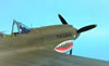 Hasegawa 1/32 P-40E Warhawk by Tolga Ulgur: Image