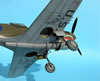 Hasegawa 1/32 P-40E Warhawk by Tolga Ulgur: Image