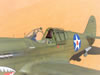 Hasegawa 1/32 P-40E Warhawk by Tolga Ulgur: Image