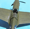 Hasegawa 1/32 P-40E Warhawk by Tolga Ulgur: Image