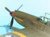 Accurate Miniatures 1/48 Mustang Mk.Ia by Tolga Ulgur: Image