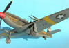 Accurate Miniatures 1/48 Mustang Mk.Ia by Tolga Ulgur: Image