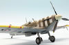 Hobby Boss 1/32 Spitfire Vb by Roland Sachsenhofer: Image