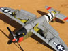 Tamiya 1/48 P-47D Thunderbolt by Tolga Ulgur: Image