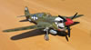 Eduard 1/32 P-40N Warhawk by Tolga Ulgur: Image