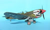 Eduard 1/32 P-40N Warhawk by Tolga Ulgur: Image