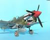 Eduard 1/32 P-40N Warhawk by Tolga Ulgur: Image