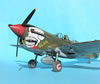 Eduard 1/32 P-40N Warhawk by Tolga Ulgur: Image