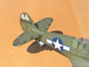 Eduard 1/32 P-40N Warhawk by Tolga Ulgur: Image