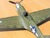 Eduard 1/32 P-40N Warhawk by Tolga Ulgur: Image