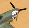 Eduard 1/32 P-40N Warhawk by Tolga Ulgur: Image