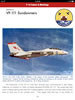 U.S. Navy F-14 Tomcats- Part 2: Pacific Coast Squadrons - Digital Volume 6 Review by Floyd S. Werner: Image