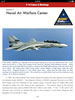 U.S. Navy F-14 Tomcats- Part 2: Pacific Coast Squadrons - Digital Volume 6 Review by Floyd S. Werner: Image