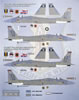Bullseye Model Aviation Item No. 48-006 - Emerald Coast Eagles Review by Brett Green: Image