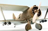 ICM 1/32 Polikarpov I-153 by Roland Sachsenhofer: Image