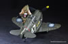 Tiger Model Kit No. TT002 - Curtiss P-40 Warhawk with Pilot by James M: Image