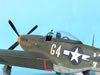 Tamiya 1/32 P-51D Mustang by Tolga Ulgur: Image