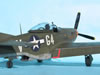 Tamiya 1/32 P-51D Mustang by Tolga Ulgur: Image