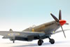 Airfix 1/48 Supermarine Spitfire Mk.XIX/ S.31 by Roland Sachsenhofer: Image