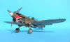 Hasegawa 1/32 P-40K Warhawk by Tolga Ulgur: Image