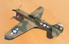 Hasegawa 1/32 P-40K Warhawk by Tolga Ulgur: Image