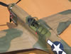 Hasegawa 1/32 P-40K Warhawk by Tolga Ulgur: Image