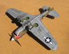 Hasegawa 1/32 P-40K Warhawk by Tolga Ulgur: Image