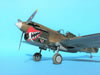 Hasegawa 1/32 P-40K Warhawk by Tolga Ulgur: Image